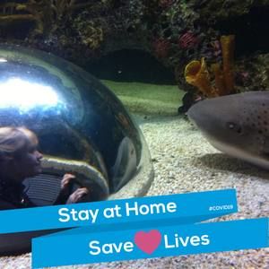 Meet your Posher, Indi